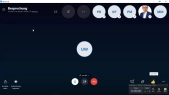 thumbnail of medium P Skype 24032020