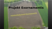 thumbnail of medium Projekt Exornamentis