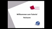 thumbnail of medium Einführung in die Datenbank Perinorm