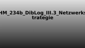 thumbnail of medium HM_234b_DibLog_III.3_Netzwerkstrategie