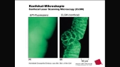 thumbnail of medium Mikroskopie_10